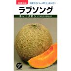 赤肉ネットメロン 種 