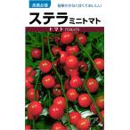  мини помидоры вид [ Stella ]takayamasi-do/ маленький пакет 
