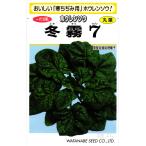 chi.. howe объединенный вид [ зима туман 7] Watanabe . вид место /30000 шарик 