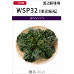 chi.. howe объединенный вид [WSP32( ограниченная продажа )] Watanabe . вид место /30000 шарик 