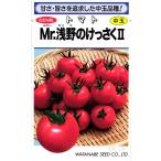  средний шар помидор вид [Mr.... ....II] Watanabe . вид место /15 шарик 