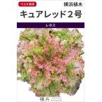  красный leaf lettuce вид [kyua красный 2 номер ] Yokohama растение /L пальто 5 тысяч шарик 
