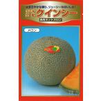 красный мясо земля . дыня вид [k in si-] Yokohama растение /100 шарик 