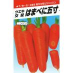  человек Gin вид [. .... размер ] Yokohama растение / маленький пакет 