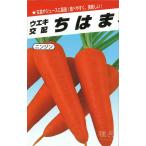  человек Gin вид [.. .. размер ] Yokohama растение / пальто 400 шарик 