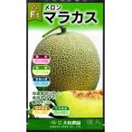  зеленый мясо сеть дыня вид [mala rental ] Yamato сельское хозяйство ./ маленький пакет 