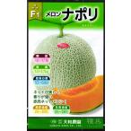 赤肉ネットメロン 種 