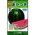 大玉スイカ 種 『あかつき』  大和農園/200粒