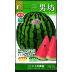 ショッピングスイカ 大玉スイカ 種 『三男坊』  大和農園/200粒