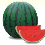  Hagi . сельское хозяйство место запад . арбуз ... большой шар ....200 шарик 