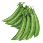 ka кошка вид рассада .. есть end u. бобы .... сверкающий зажим ( красный цветок ) маленький пакет PVP