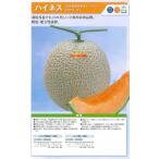 神田育種　メロン　ハ