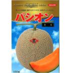 神田育種　メロン　パ