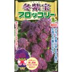 ta. Kobayashi вид рассада брокколи зима фиолетовый .(.....) брокколи маленький пакет 