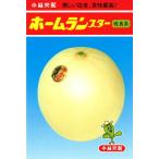 たね 小林種苗  メロン種子　ホームランスターメロン改良系 小袋