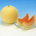 たね 小林種苗  メロン