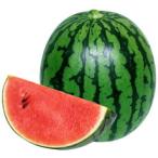 ta. круг вид арбуз семена .. Izumi автомобиль lie200 шарик 