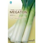 丸種 リーキ MEGATON (メガトン)　1万粒