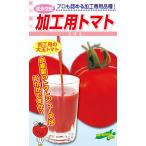 ショッピングトマトジュース 松永種苗　トマト　加工用トマト(早生だるま)　小袋