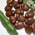 ݂ǋa \} P(͂Ђ)@230