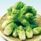 ナカハラのたね 中国野菜 四川児菜（子持タカナ）　　　Lコート 200粒