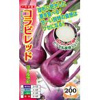 �i���g��c �L���x�c �R���r���b�h�i�R�[�����r�j����