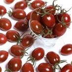 sakata. tane помидор ... шоко Aiko маленький пакет 