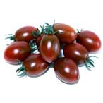  Sanyo вид рассада помидор ... шоко la* bell [ слива мини помидоры ] маленький пакет 