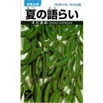 たね タカヤマシード 