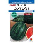 たね タキイ種苗 スイカ  種子 西瓜 カメハメハ 200粒