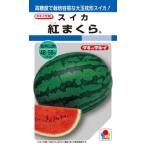 たね タキイ種苗 スイカ  種子 西瓜 紅まくら 200粒