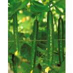  время . изучение место огурец огурец .. Anne call 10 350 шарик 