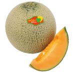 たね 横浜植木  メロン　初夏のクインシー  100粒