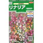 lina задний (. львиный зев большой ) высота . смешивание маленький пакет 0.1ml ввод почтой отправка товар 