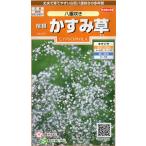 . корень гипсофила . -слойный .. маленький пакет 0.2ml ввод почтой отправка товар 