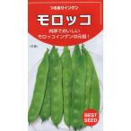 インゲン　つるありモロッコ　小袋　45ml入り　郵便発送商品
