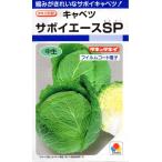 キャベツ　サボイエースSP　小袋　160粒入り　郵便発送商品