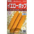 ポップコーン　イエローポップ　小袋 20ml入り　郵便発送商品