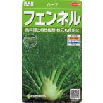  трава фенхель маленький пакет 1.9ml ввод почтой отправка товар 