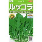  трава rukola маленький пакет 2ml ввод почтой отправка товар 