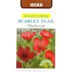  трава паяльный флюс красный маленький пакет 0.5ml ввод почтой отправка товар 