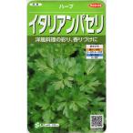 ハーブ　イタリアンパセリ　小袋　