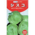  lettuce Cisco маленький пакет 0.9ml ввод почтой отправка товар 