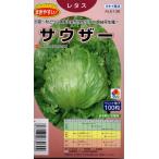  lettuce sau The -pe let семена 100 шарик ввод почтой отправка товар 