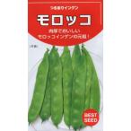 インゲン　つるありモロッコ　小袋　27ml入り　郵便発送商品