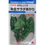 ホウレンソウ　早生サラダあかり　小袋　9ml入り　郵便発送商品