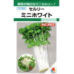  сельдерей Mini белый маленький пакет 1.5ml ввод почтой отправка товар 