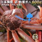 日本海産　活　松葉ガニ 生　約600g中サイズ1杯　タグ付ブランドガニ松葉ガニ松葉がに松葉かにズワイ ...