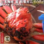 日本海産　茹　松葉ガニ 約600g　中サイズ1杯　タグ付ブランド蟹　ボイル済松葉ガニ松葉がに松葉かに ...