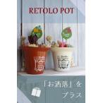 アンティークポットギフト 2個セット 可愛い 多肉植物 贈り物 敬老の日 新築祝 誕生日祝 開店祝 結婚式祝 母の日多肉